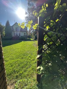 Zdjęcie WhatsApp 2025-08-12 o 19.49.34_bd997eb2