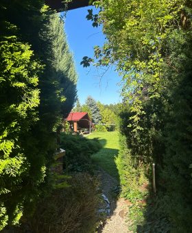 Zdjęcie WhatsApp 2025-08-12 o 19.49.42_ca773b06